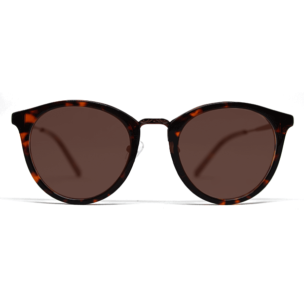 PARIS-DB-47-Polarized-Brown-80